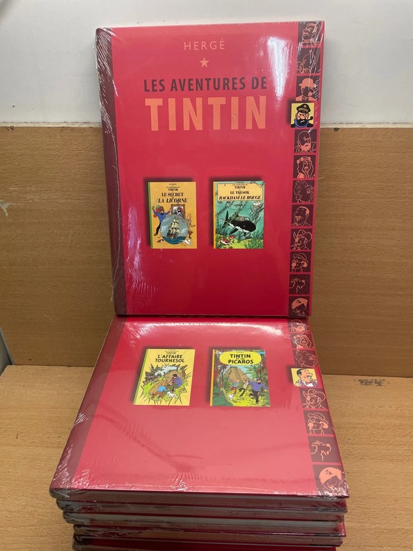 Lot Livre double album Les Aventures de Tintin