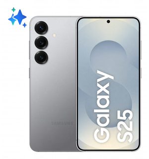 Samsung Galaxy S25 128 Go Silver Shadow 5G