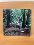 Vinyle Donkey CSS — photo 1
