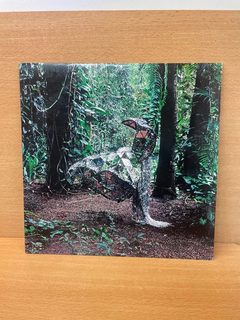 Vinyle Donkey CSS