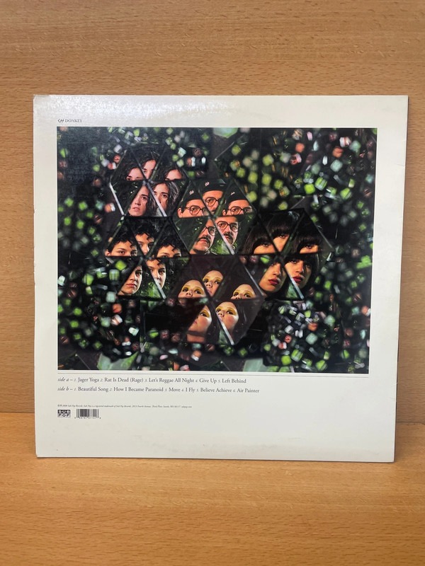 Vinyle Donkey CSS — photo 2