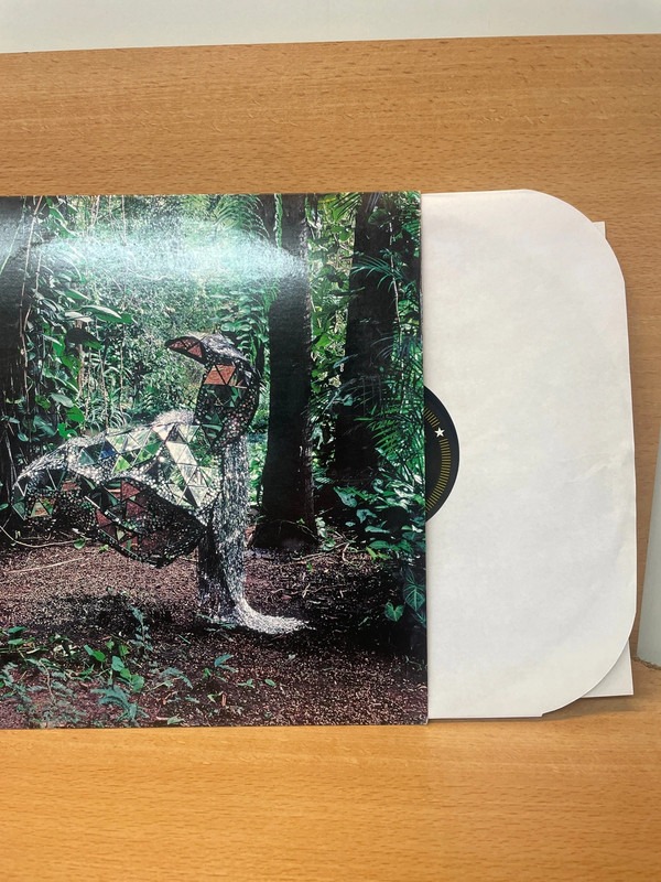 Vinyle Donkey CSS — photo 3
