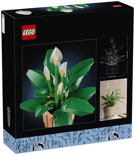 LEGO Botanicals Fleur de lune 11504