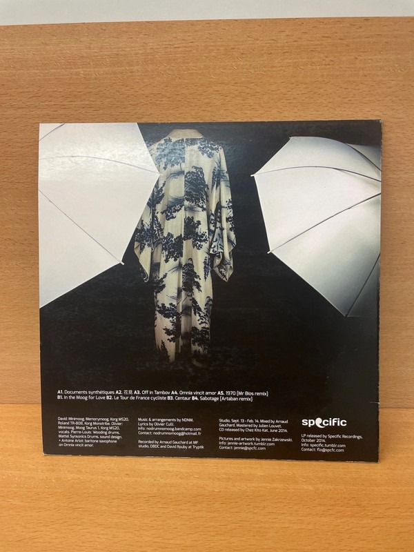 Vinyle No Drum No Moog — photo 2