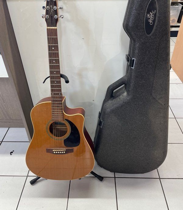 Guitare électro-acoustique Seagull Performer CW Cedar GT avec étui rigide